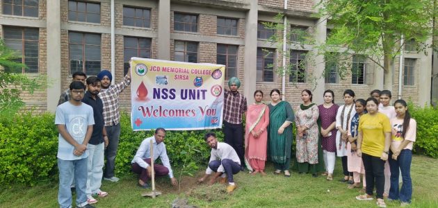 Tree Plantation